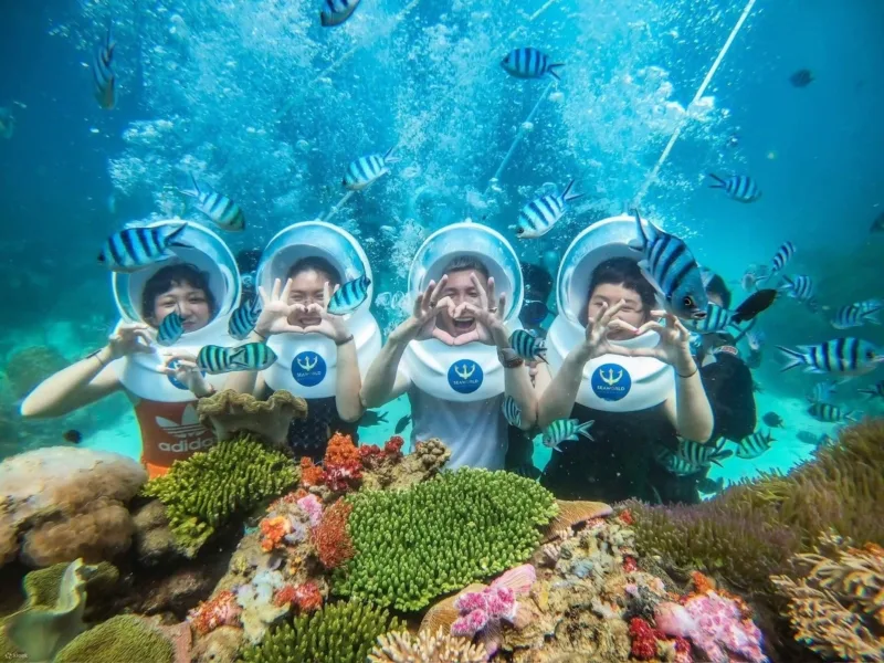 scuba diving la gi