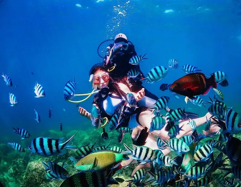 scuba diving la gi