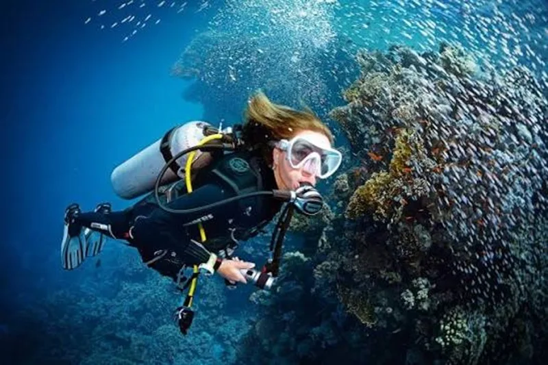 scuba diving la gi
